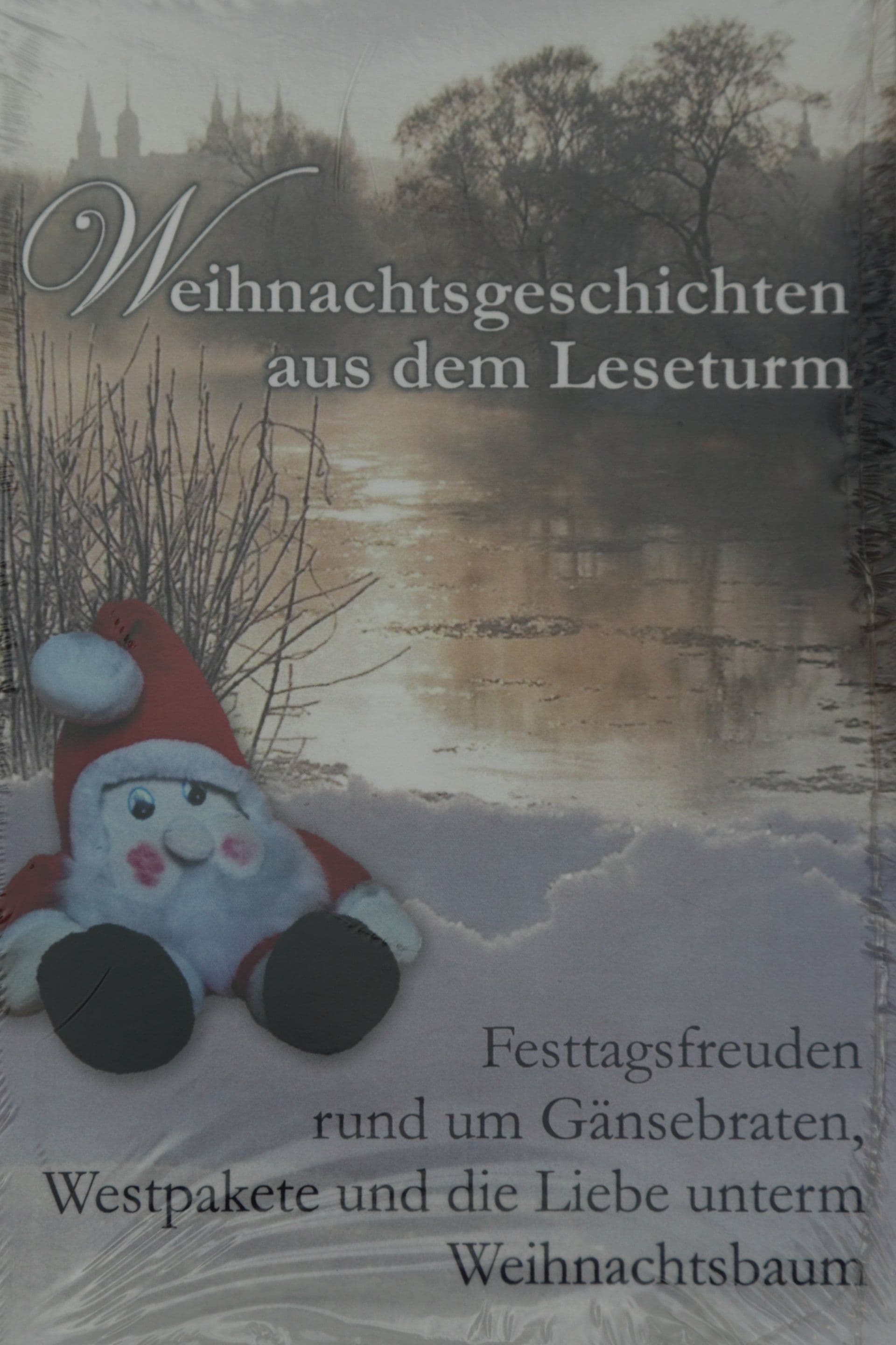 Weihnachtsgeschichten aus dem Leseturm